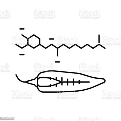 캡사이신 페퍼 라인 아이콘 벡터 일러스트레이션 단일 객체에 대한 스톡 벡터 아트 및 기타 이미지 단일 객체 라거 문화