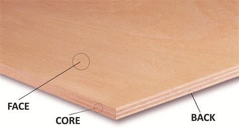 Everything You Need To Know About Plywood Interior Era