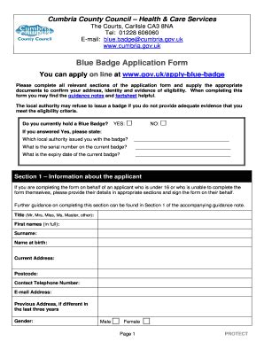 Blue Badge Application Council Fill Online Printable Fillable Blank