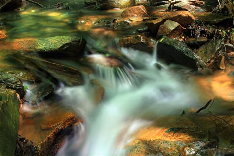 Bakgrundsbilder vatten natur skog sten Vattenfall bäck vandring