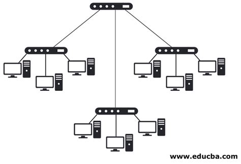 What is Hub? | Know Top Three Informative Types of Hubs