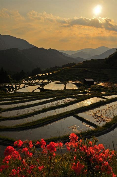 17 Best images about Terraced Rice Fields on Pinterest | Fields ...