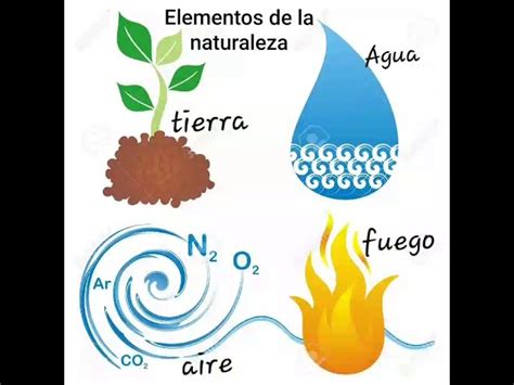 Descubre Los Elementos Esenciales De La Naturaleza Todo Lo Que