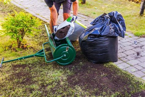 Topdress Your Lawn This Way And Youll Get A Stunning Grass In No Time