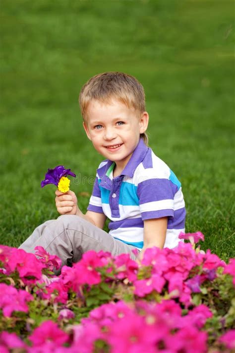 boy smelling flower close  stock image image  freedom