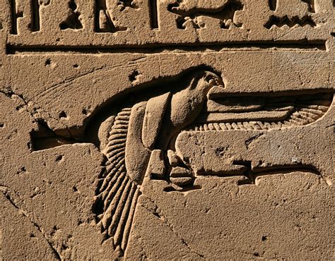 Bird hieroglyph 2 | Egitto, Archeologia