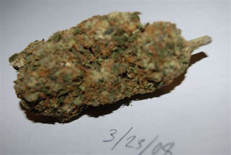 snowcap | Grasscity Forums - The #1 Marijuana Community Online