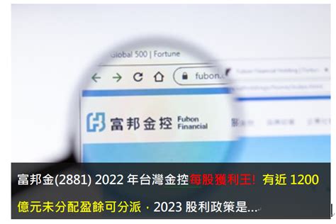 富邦金2881 2022年台灣金控每股獲利王 有近1200億元未分配盈餘可分派，2023股利政