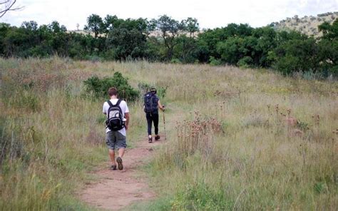 Hiking Adventures in Midrand: Discovering Hidden Trails - Joey Journeys