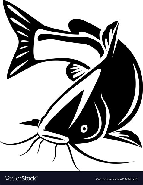 Graphic catfish on white background Royalty Free Vector