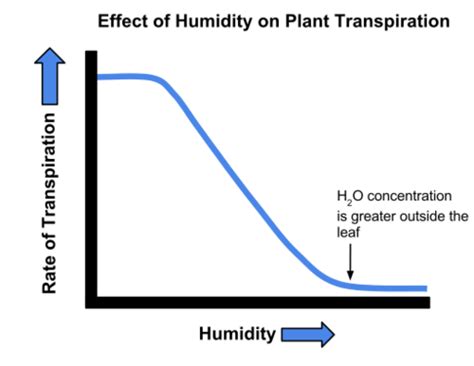 Factors affecting the rate of Transpiration Flashcards | Quizlet