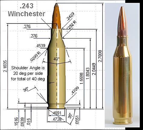 Best 243 Ammo Review 2024 Top 8 🎯 243 Ammo Buyers Guide