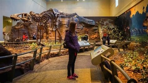 Exploring the World at the Carnegie Museum of Natural History