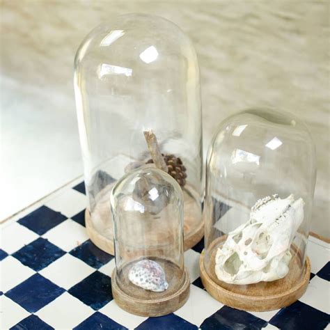 Display Glass Dome Glass Dome Display Glass Decor Glass Domes