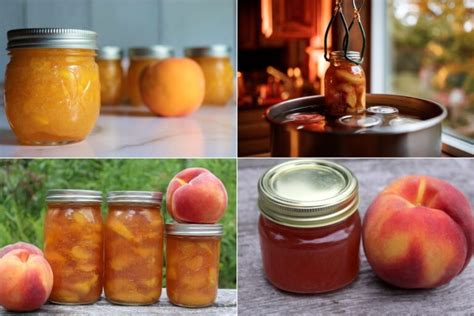 30 Peach Canning Recipes Creative Canning