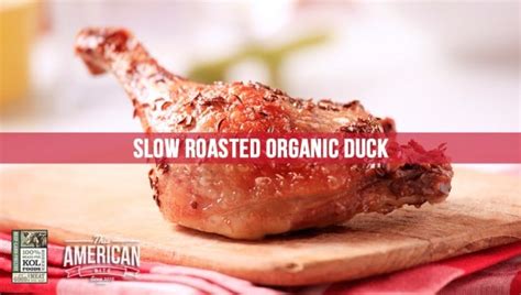 Slow Roasted Duck - This American Bite