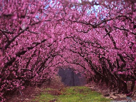 Beautiful Spring Wallpapers - Wallpaper Cave