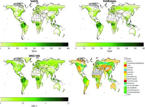 Above Ground Biomass Agb Global Maps Saatchi Top Left Globbiomass