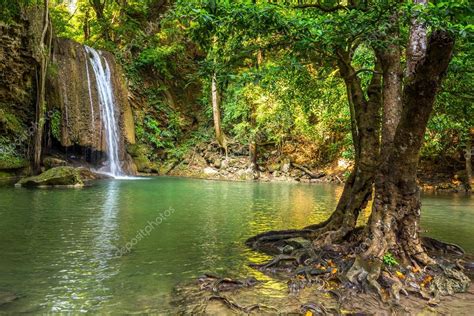 Jungle landscape with flowing turquoise water — Stock Photo © iggy74 ...