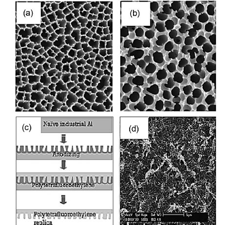 A SEM Image Of Surface Of Commercial Porous Aluminum Oxide PAO