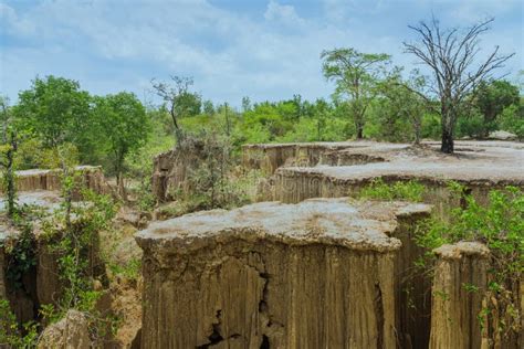 El Paisaje Hermoso De Corrientes A Trav S De La Tierra Tiene La Erosi N