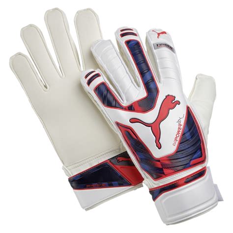 Puma Goalkeeper Gloves Evopower Protect