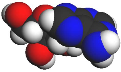 Adenosine - wikidoc