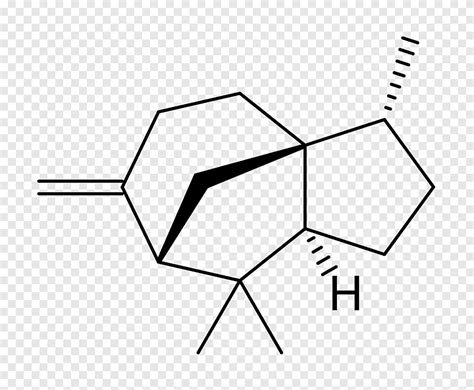 Cedreno Cedrol Aceite Esencial Qu Mica Aceite De Cedro Aceite Diverso