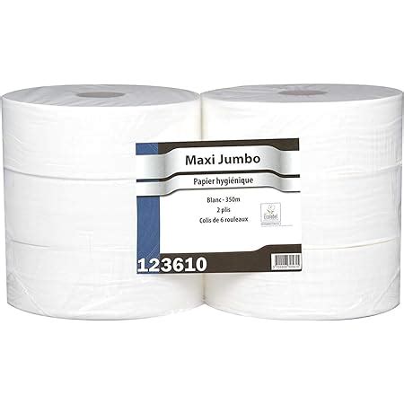 DSTOCK60 6 Rouleaux de papier toilette MAXI JUMBO 350 mètres 2 plis