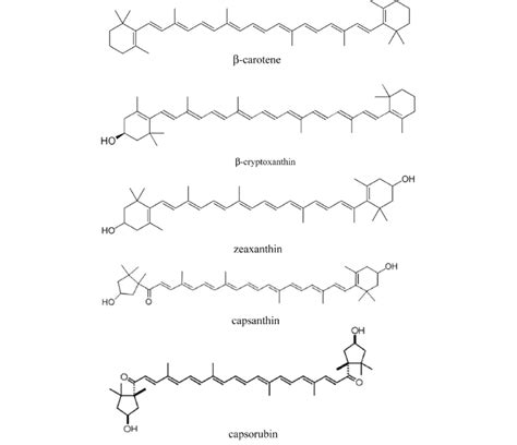 The Chemical Structures Of The Main Carotenoids Identified In This