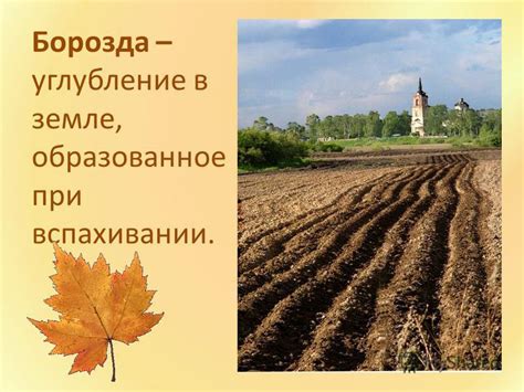 Презентация на тему: "Такая разная осень…. «Глухая пора листопада ...