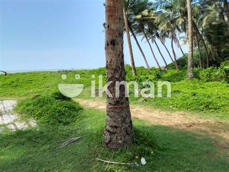 Beautiful Beach Front Land For Sale Cl Ikman