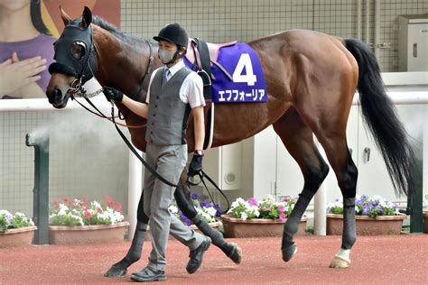 【有馬記念】シャフリヤール「緊急登録」でますます豪華？武豊ドウデュースとタスティエーラでダービー馬の3世代対決も実現かエフフォーリア不在を