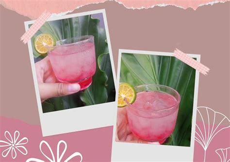 Resep Nata De Aloe Vera Home Made Oleh Fadillah Adha Cookpad