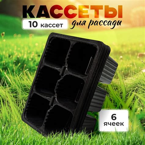 Кассета для рассады купить на OZON по низкой цене (1769647948)