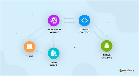 Wordpress Object Caching Improve Your Website Performance With Ease