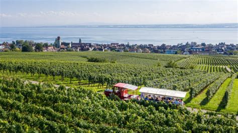 Veranstaltungen Aus Oktober Dezember Winzerverein Hagnau