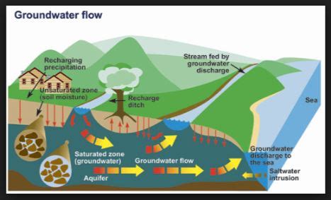 Surface Water Pollution Diagram