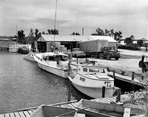 Collier County Centennial History Pictures, Photographs, Gallery