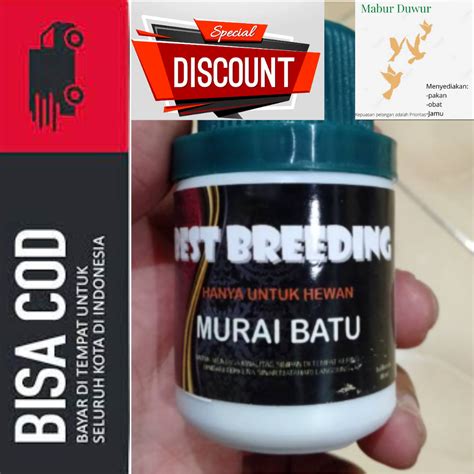 Best Breeding Murai Batu Isi 40 Ml Ternak Burung Murai Batu Lazada