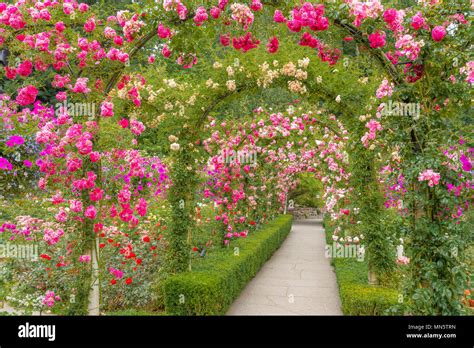 The Rose Garden, Butchart Gardens, Brentwood Bay, near Victoria ...