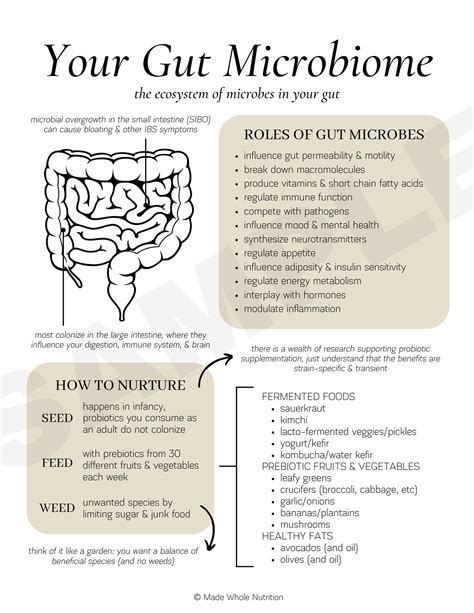 Benefits Of Fermented Foods Handout — Functional Health Research