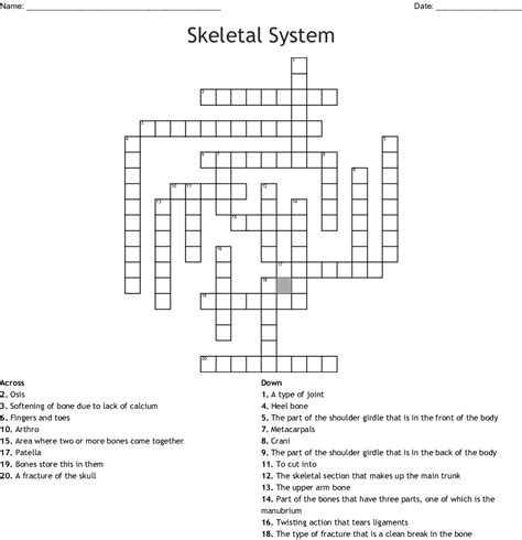 Skeleton Crossword Puzzle Printable