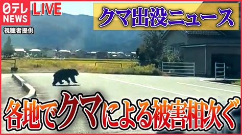 【クマ出没ニュース】各地でクマによる被害相次ぐ 増える「アーバンベア」市街地に出没人を襲うワケとは？ 都内でもクマ目撃情報 など ニュースまとめライブ（日テレnews Live