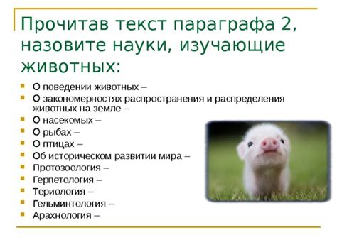Современная зоология - Биология - Презентации - 7 класс