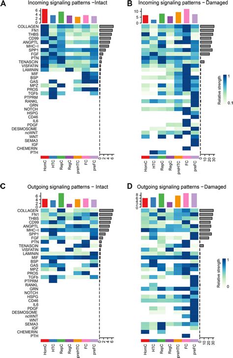 Single Cell RNA Sequencing Analysis Of Human Chondrocytes Reveals Cell