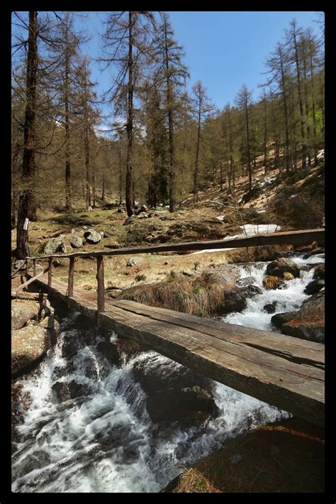 Fusio Verso Lago Mognola Forrestmen Flickr