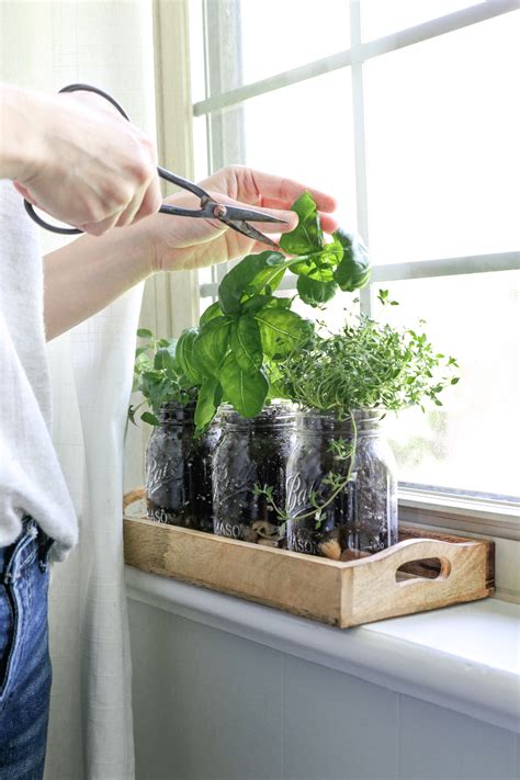 How To Make A Mason Jar Herb Garden Hello Nest