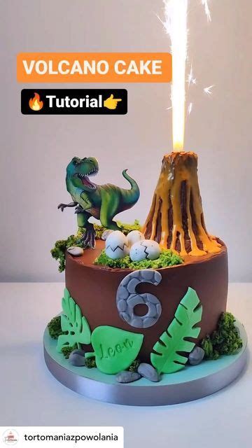 Arife Lamoulde Official On Instagram Dinosaur Birthday Cakes Dino