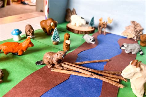 Woodland Activities for Kids: Hands-On Learning & Crafts – Knowledge Crates